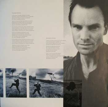 LP Sting: The Dream Of The Blue Turtles