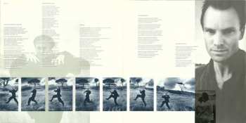 LP Sting: The Dream Of The Blue Turtles