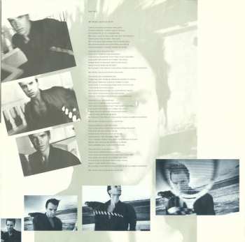 LP Sting: The Dream Of The Blue Turtles