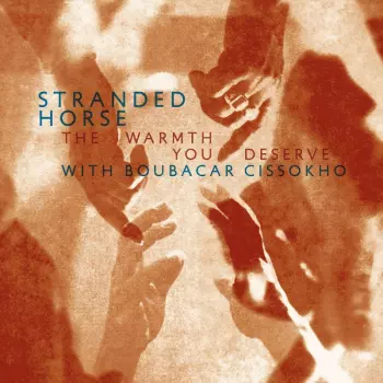 Stranded Horse: The Warmth You Deserve