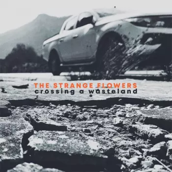 Strange Flowers: Crossing A Wasteland