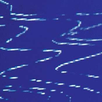 Album Strategy: Information Pollution