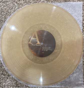 LP Stray Theories: This Light LTD | CLR