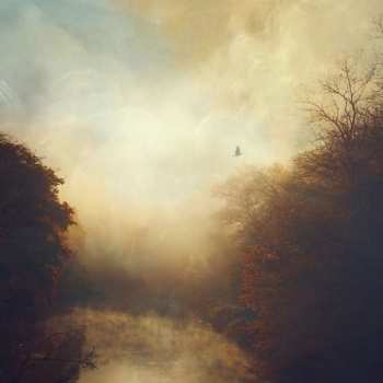 Album Stray Theories: This Light