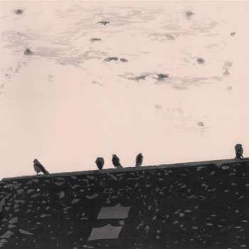 Album Stuart A. Staples: Arrhythmia