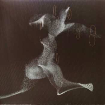 LP Styx: Circling From Above