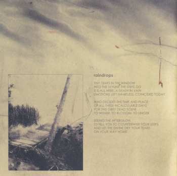CD Subaudition: The Scope
