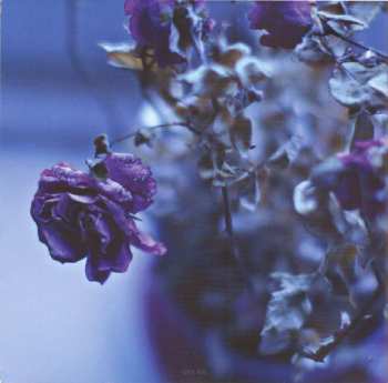 CD/DVD Suede: Night Thoughts DLX