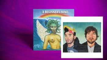 LP Sufjan Stevens: A Beginner's Mind LTD | CLR