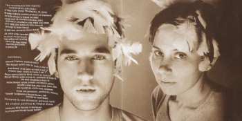 CD Sufjan Stevens: A Sun Came!
