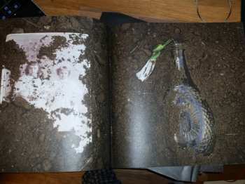 LP Sullivan: Heavy Is The Head