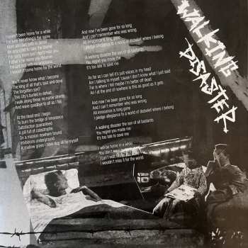 LP Sum 41: Underclass Hero CLR | LTD