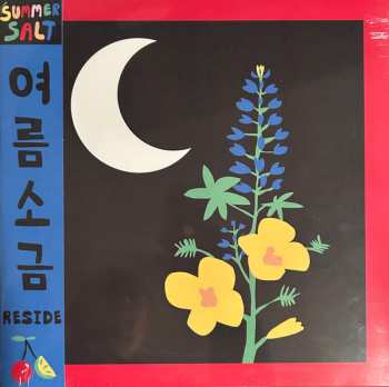 Album Summer Salt: Reside