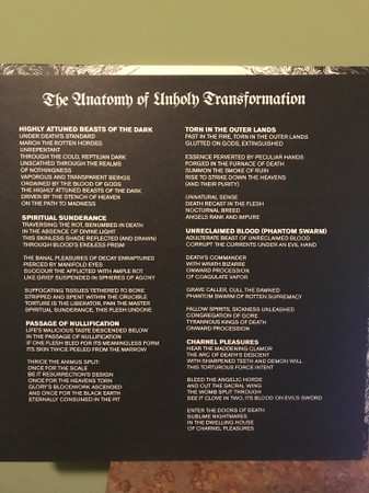 LP Superstition: The Anatomy Of Unholy Transformation