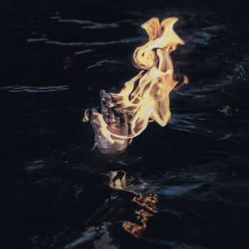 LP Sure: 20 Years LTD | NUM