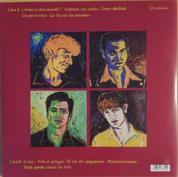 LP Surfin' Bichos: La Luz En Tus Entrañas