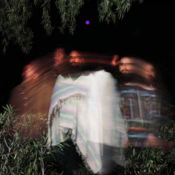 Album Carlos Niño: Subtle Movements