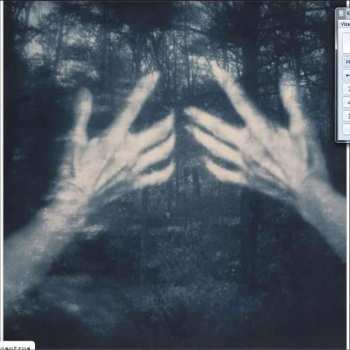 CD Susana Santos Silva: All The Birds And A Telephone Ringing DIGI