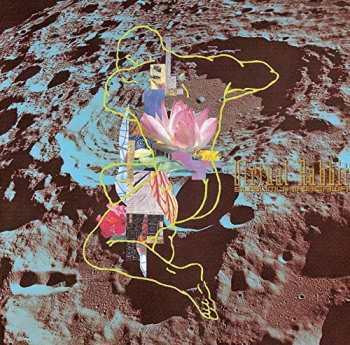 Album Susumu Hirasawa: Virtual Rabbit
