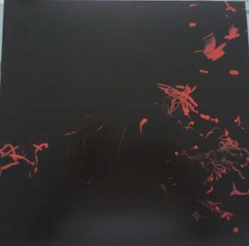 LP Svarte Greiner: Moss Garden