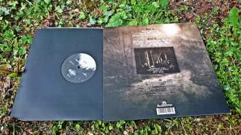 LP Svartelder: Pyres LTD