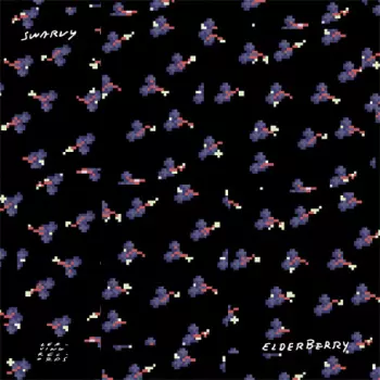 Swarvy: Elderberry