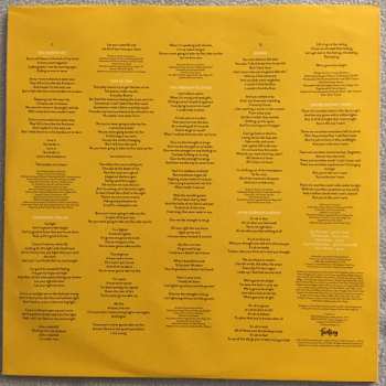 2LP Switchfoot: Native Tongue