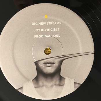 2LP Switchfoot: Native Tongue