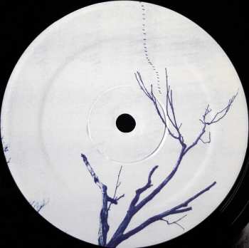 LP Sybarite: Waver The Absolute