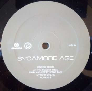 LP Sycamore Age: Sycamore Age LTD | NUM