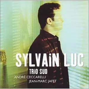 Sylvain Luc: Trio Sud