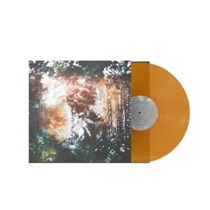 LP Sylvaine: Time Without End CLR | LTD