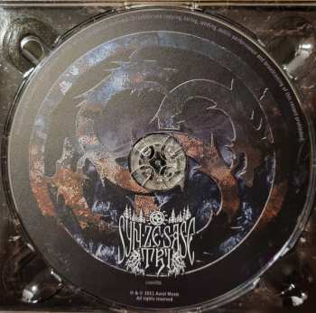 CD Syn Ze Șase Tri: Între Două Lumi