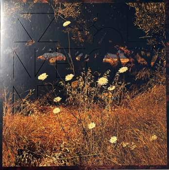 Album Szun Waves: Earth Patterns