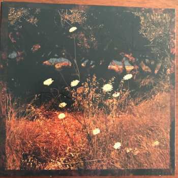 CD Szun Waves: Earth Patterns