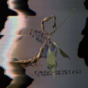 CD T. Gowdy: Trill Scan