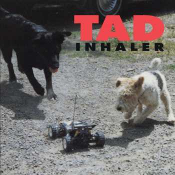 CD Tad: Inhaler
