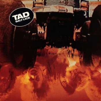 CD Tad: Salt Lick DLX