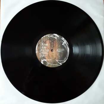 LP Tamino: Sahar 