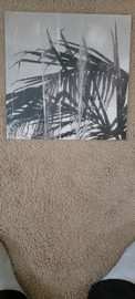 LP Tan Cologne: Earth Visions Of Water Spaces