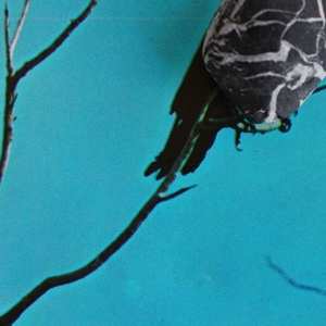 Album Tangents: Stateless
