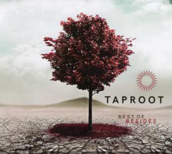 Album Taproot: Best Of Besides