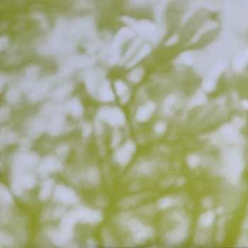 LP Tara Clerkin Trio: In Spring LTD