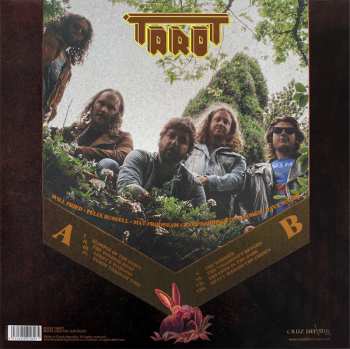 LP Tarot: Glimpse Of The Dawn CLR | LTD