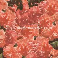 SP Taxa: Resurrection Year