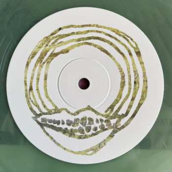 LP/SP Teethe: Teethe CLR | LTD