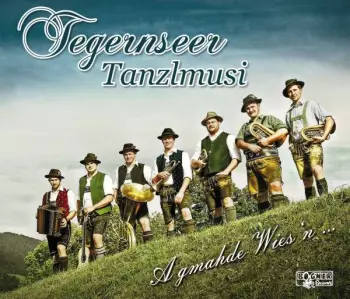 Tegernseer Tanzlmusi: A Gmahde Wies'n...