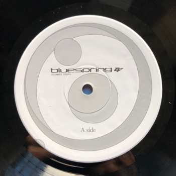 LP Telematic Visions: Bluespring LTD