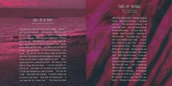 2CD/DVD/Dobozkészlet/Blu-ray Temple Of The Dog: Temple Of The Dog DLX | LTD