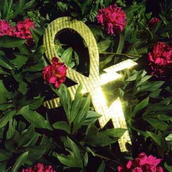 SP Temples: Paraphernalia LTD | CLR